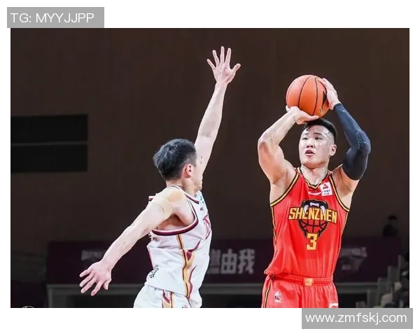 北京排球队灵活性引发热议球迷与专家观点碰撞激烈