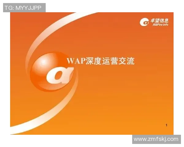 武汉排球队运营策略深度分析与发展前景探讨