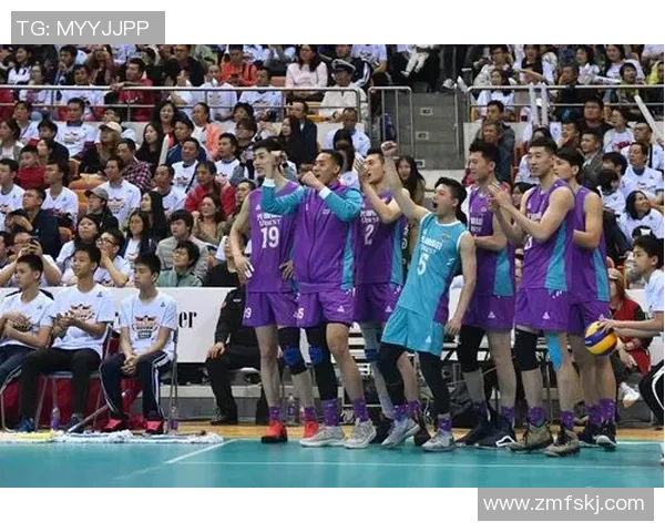 深圳排球队状态卓越领跑最新排球TOP10榜单分析与展望