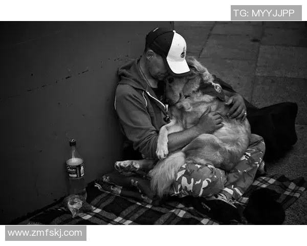 足球明星与他们心爱的狗狗们的温馨时刻与故事分享