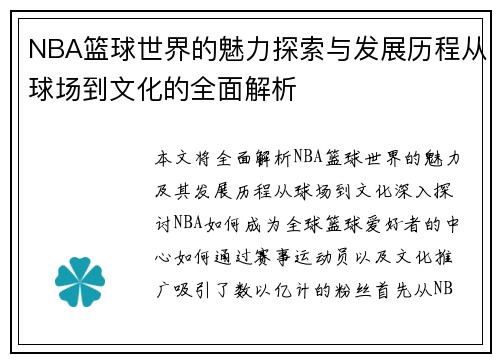 NBA篮球世界的魅力探索与发展历程从球场到文化的全面解析