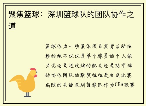 聚焦篮球：深圳篮球队的团队协作之道