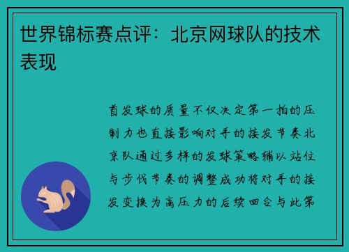 世界锦标赛点评：北京网球队的技术表现